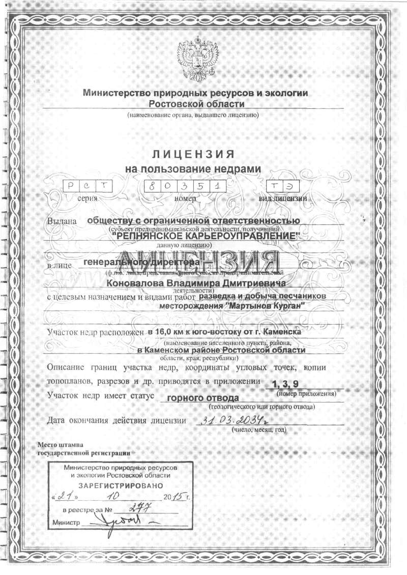 Лицензия 2015. 1 лист.